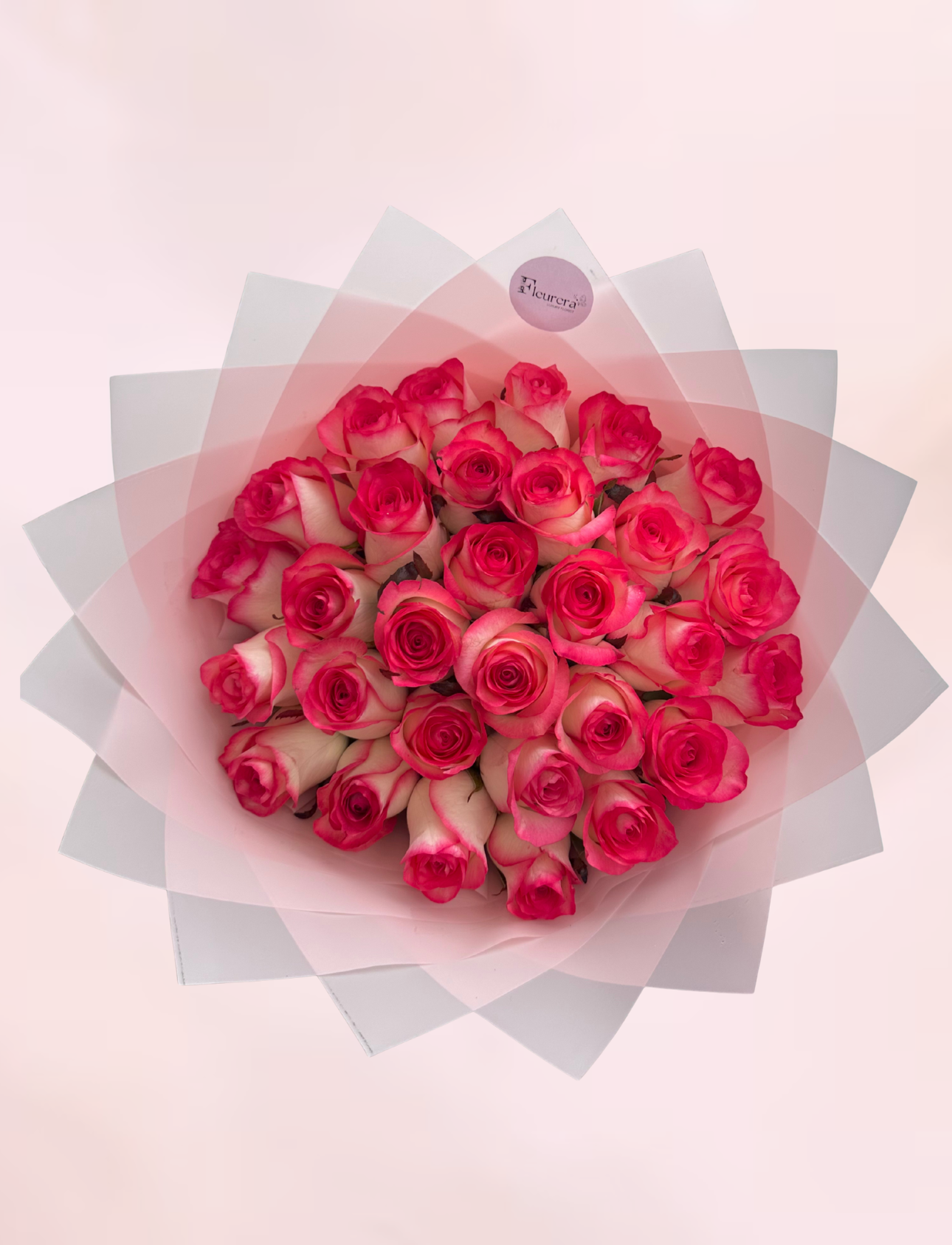30 Witte Rozen met Roze Rand