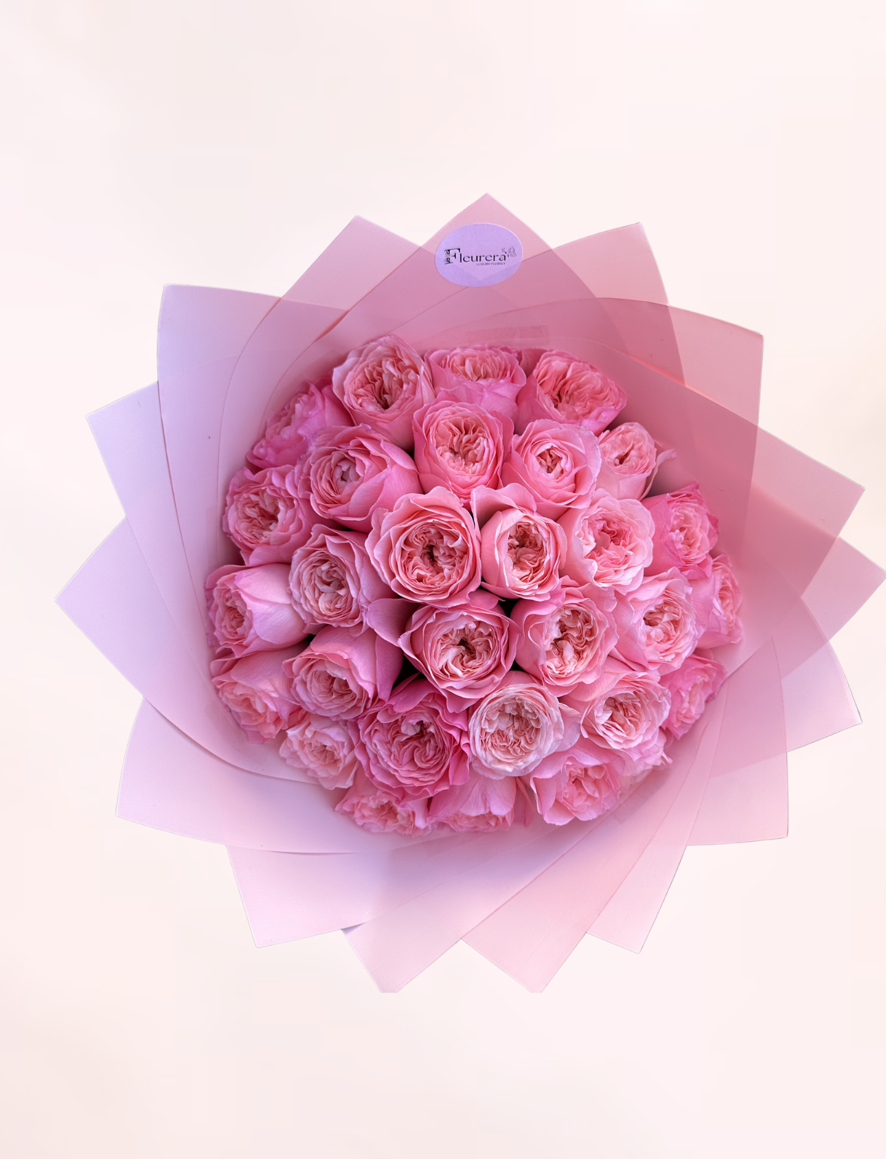 30 Roze Tuinrozen
