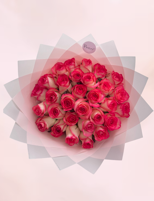 30 Witte Rozen met Roze Rand